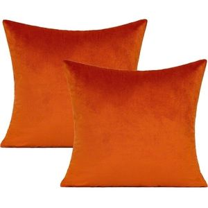 20×20 Inches Burnt Orange Fall Outdoor &
Indoor Throw Pillow Covers Rust Velvet
